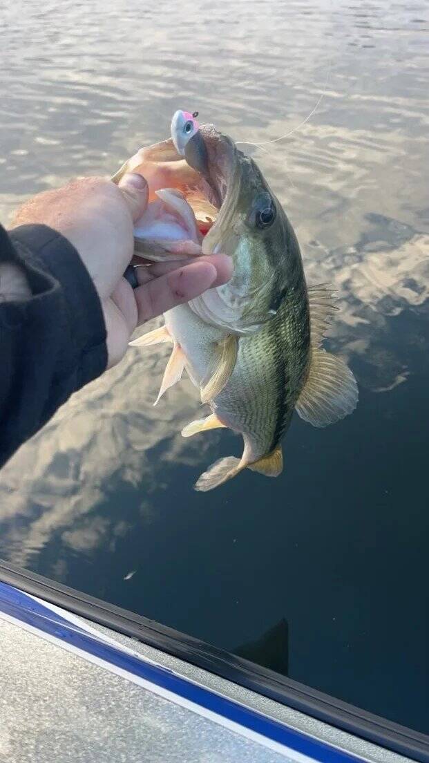 fish-1_1703733661-standard.jpg