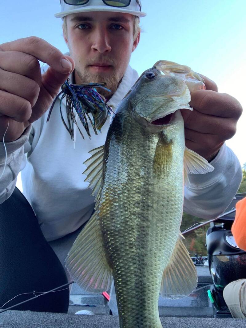 fish2_1697219969-standard.jpg