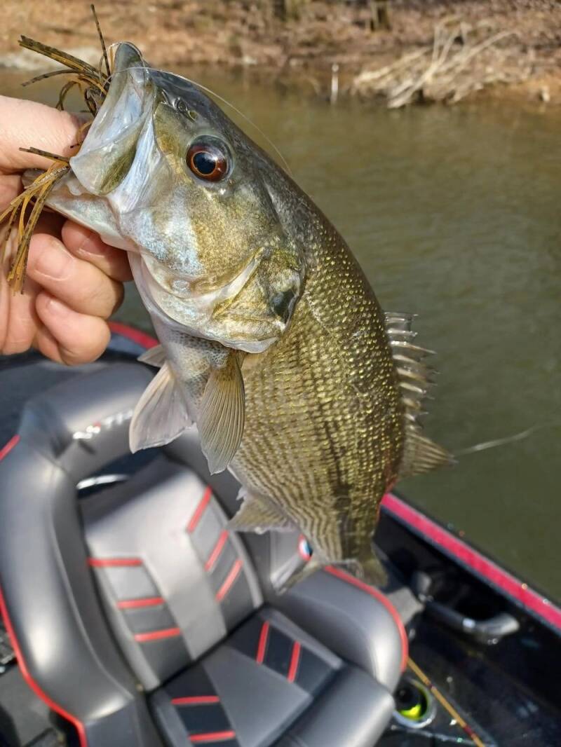 nelson-6_1661716354-standard.jpg
