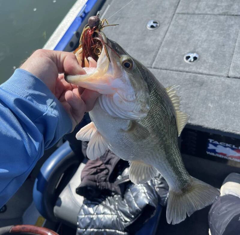 roger-fish-standard.jpg
