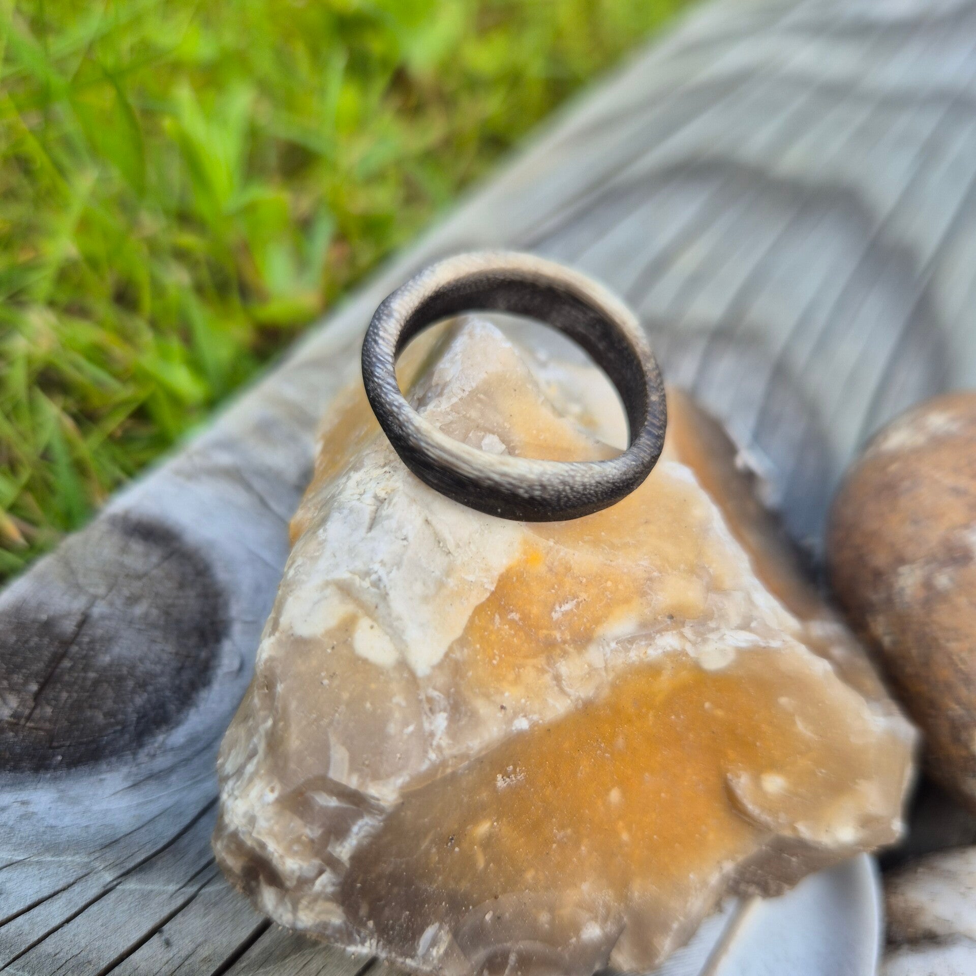 BdH Ring Starling XVll