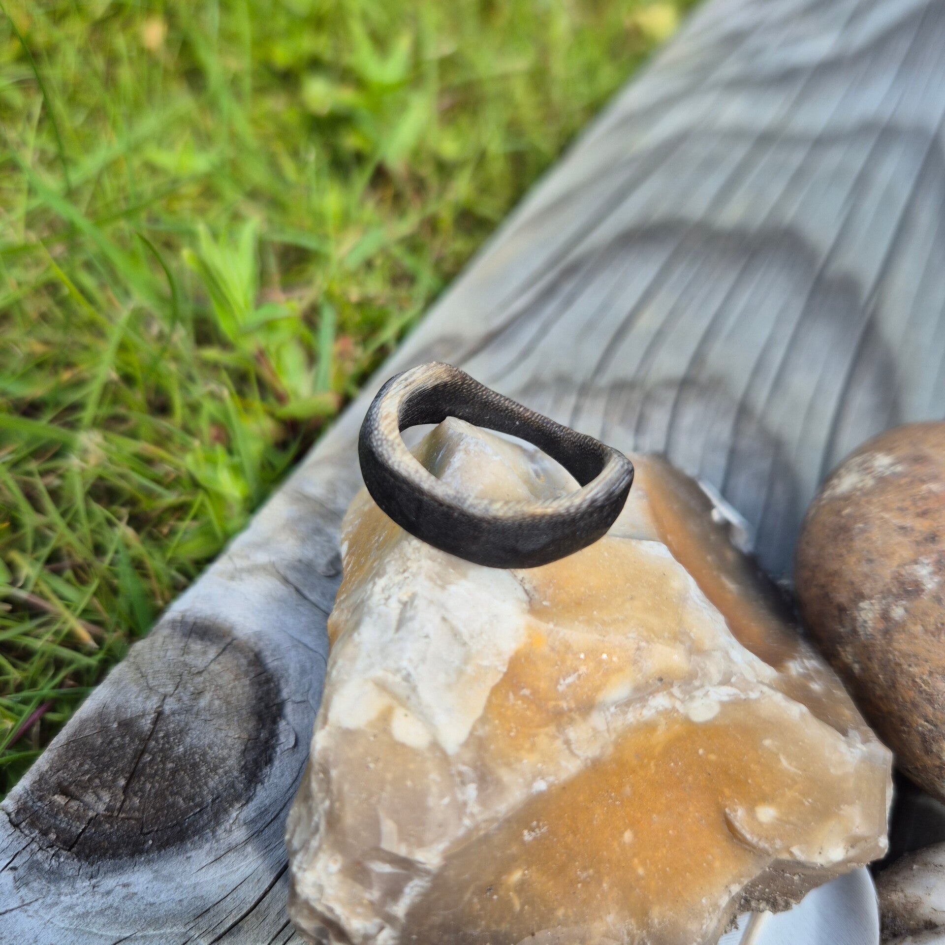 BdH Ring Starling XlX