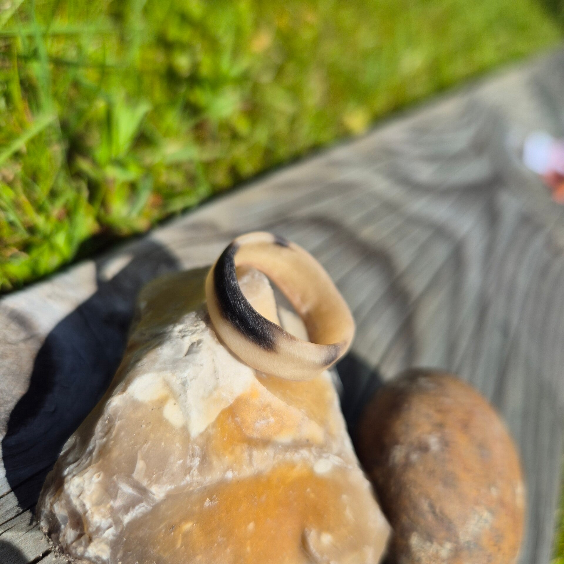 BdH Ring Starling XVlll