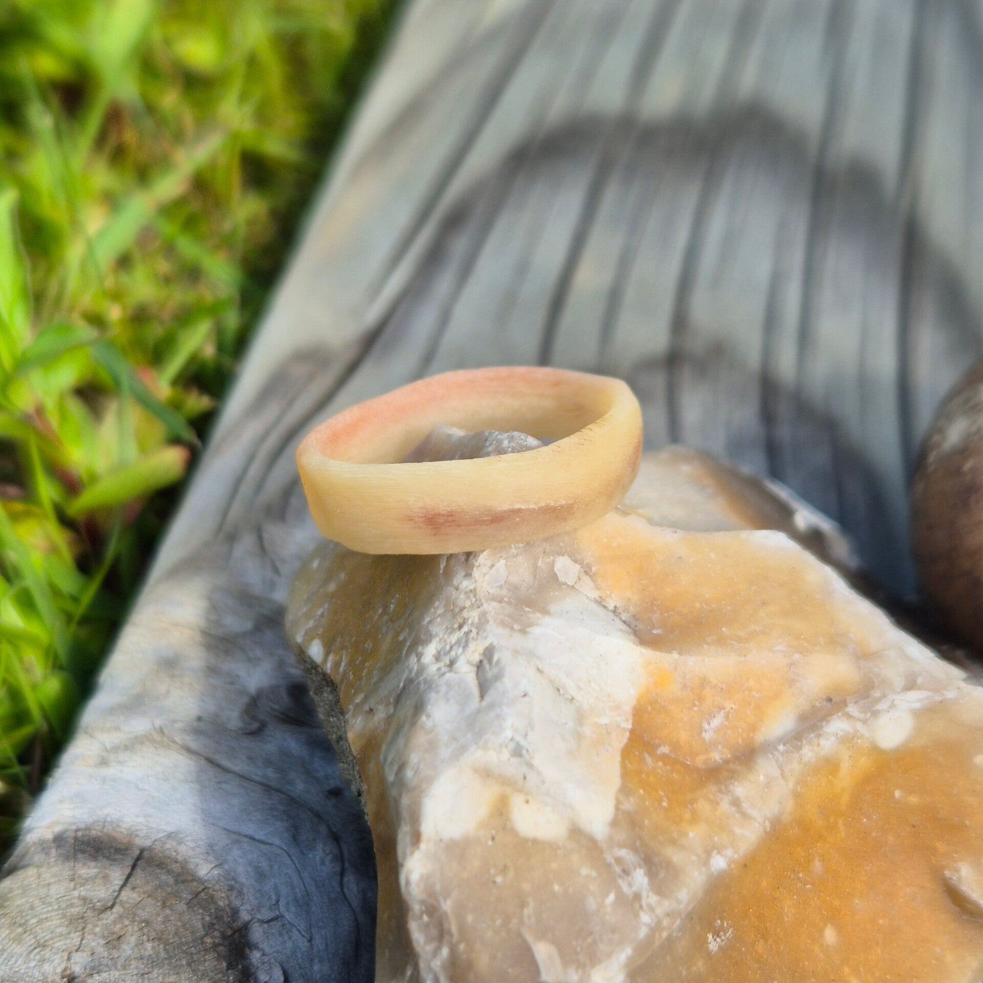 BdH Ring Starling XXlll