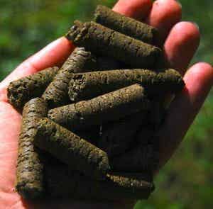 Bio Ron Hennep Bites