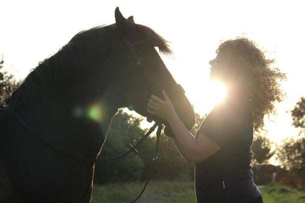 Op 4 oktober is het Wereld Dierendag – dé dag om je trouwe viervoeter extra in het zonnetje te zetten. Natuurlijk verdient jouw paard elke dag liefde en zorg, maar op Dierendag mag het best een beetje extra. Bij All About Naturals vind je alles om je paa