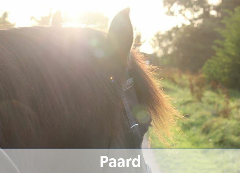 Paard supplementen Pharmahorse Ewalia Phytonics PUUR