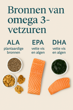 De gemiddelde Westerse voeding bevat te weinig omega 3, én te veel omega 6 (wat ontstekingen juist kan bevorderen). Daarom is het goed om extra omega 3 binnen te krijgen via: Plantaardige bronnen (ALA): Lijnzaad(olie) Chiazaad Walnoten Hennepzaad Di