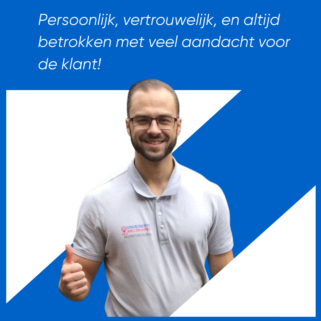 Wespennest Verwijderen - Hoge klanttevredenheid 9.9 Wespennest Verwijderen - Hoge klanttevredenheid 9.9