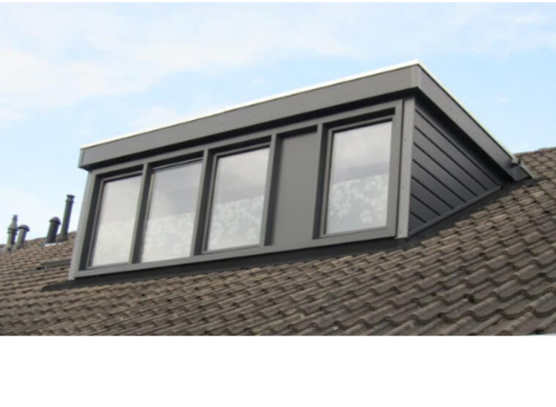 Wespennest in dakkapel