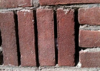 wespen in spouwmuur