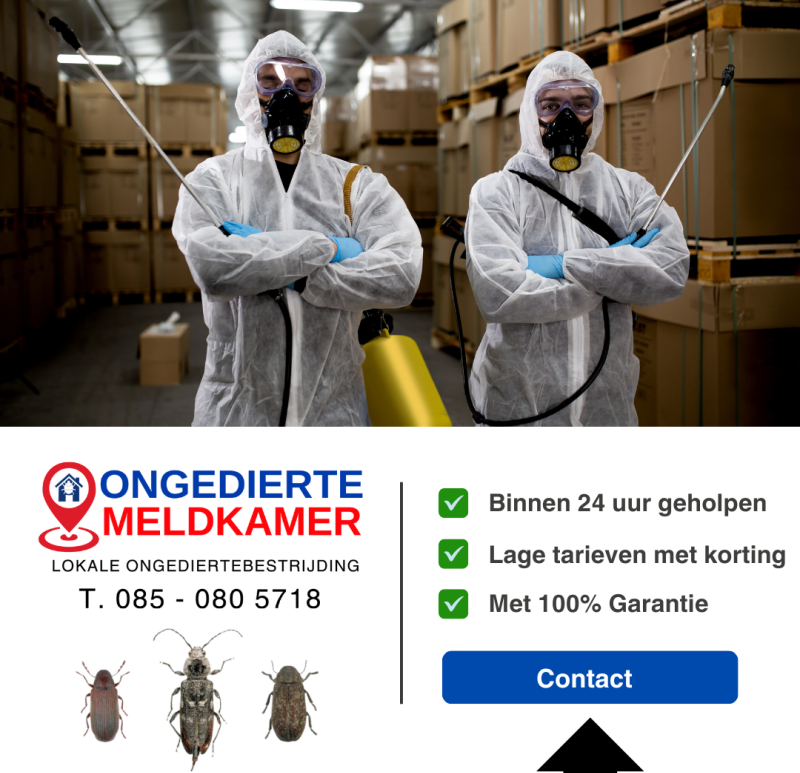 Ongediertebestrijding Landsmeer