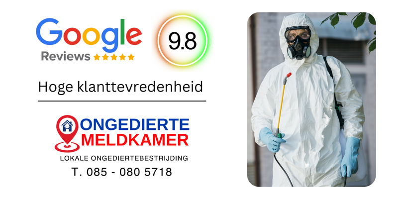 Ongediertebestrijding Bergen op Zoom - Ongedierte Meldkamer