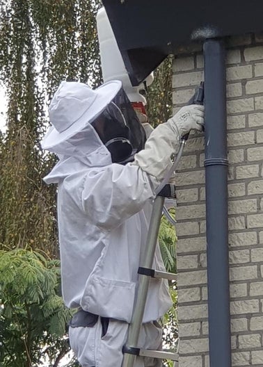 Wespennest verwijderen