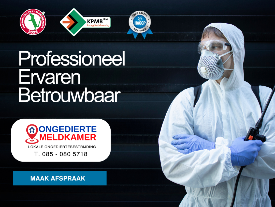 Ratten bestrijden in Nijmegen