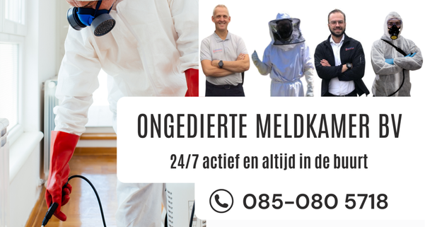 Ongediertebestriojding Gilze en Rijen - Ongedierte Meldkamer