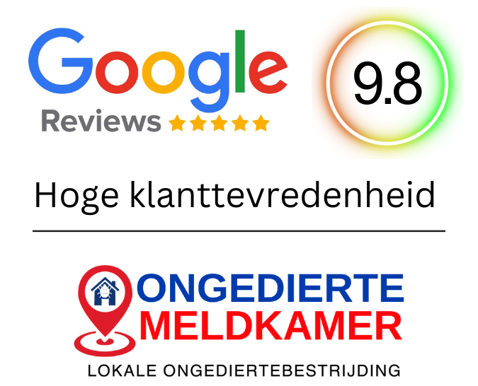 Ongedierte Meldkamer beoordelingen Amsterdam