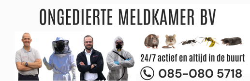 Ongediertebestrijding Gemeente Bernheze - Ongedierte Meldkamer