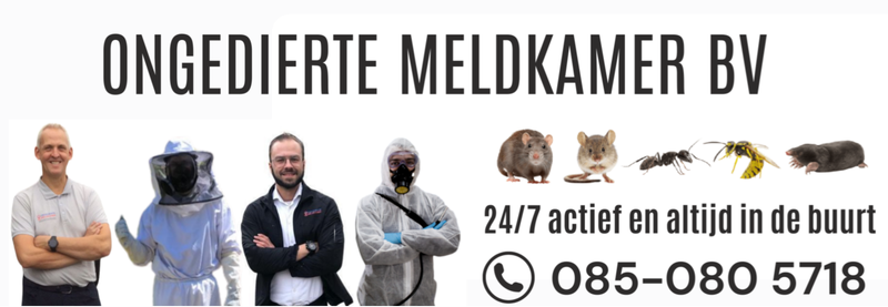 Ongediertebestrijding Bergen op Zoom - Ongedierte Meldkamer