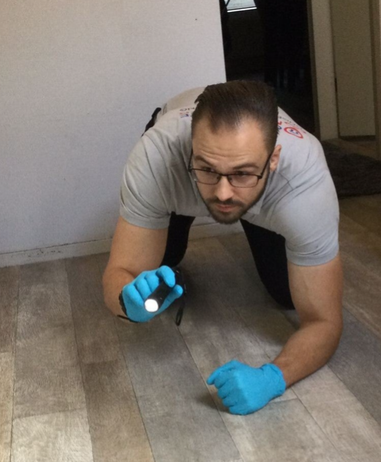 Ongediertebestrijding