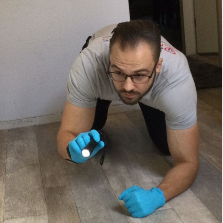 Ongedierte bestrijden eersel