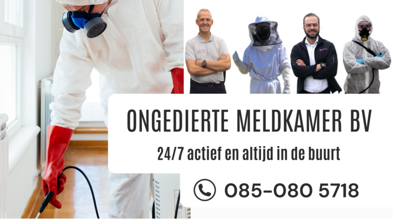 Ongediertebestrijding Bergen Limburg - Ongedierte Meldkamer 
