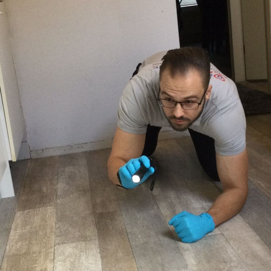 Muizenbestrijding - Ongedierte Meldkamer