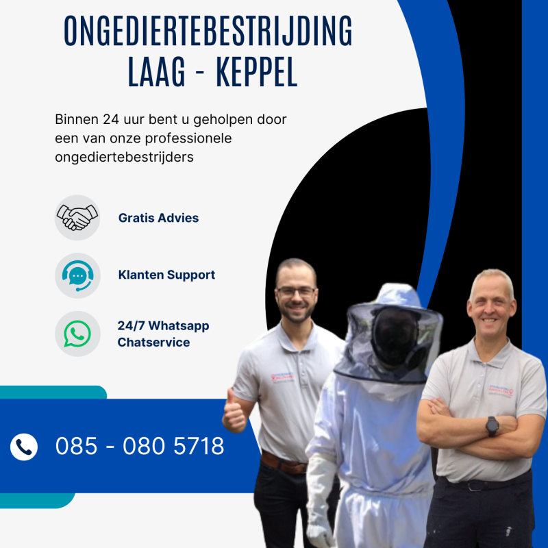 Ongediertebestrijding Laag -Keppel