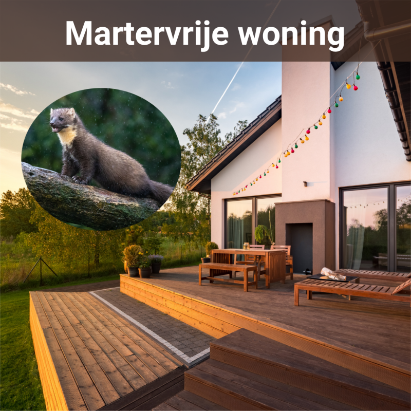 ongediertebestrijding marters