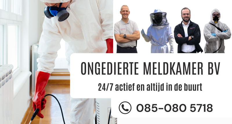 Ongediertebestrijding Roosendaal