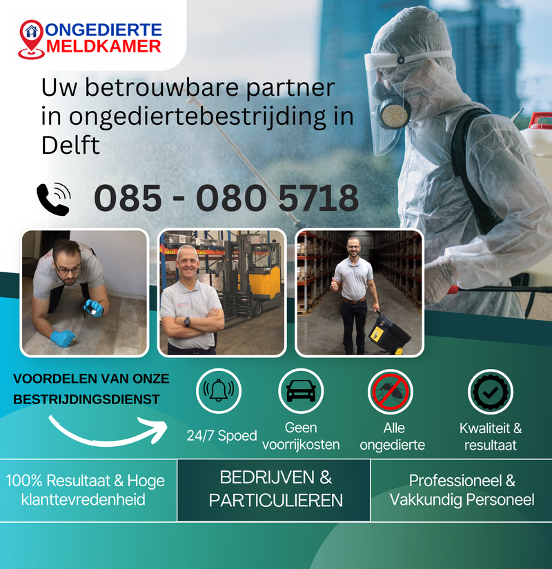 Ongediertebestrijding Delft-Ongedierte Meldkamer