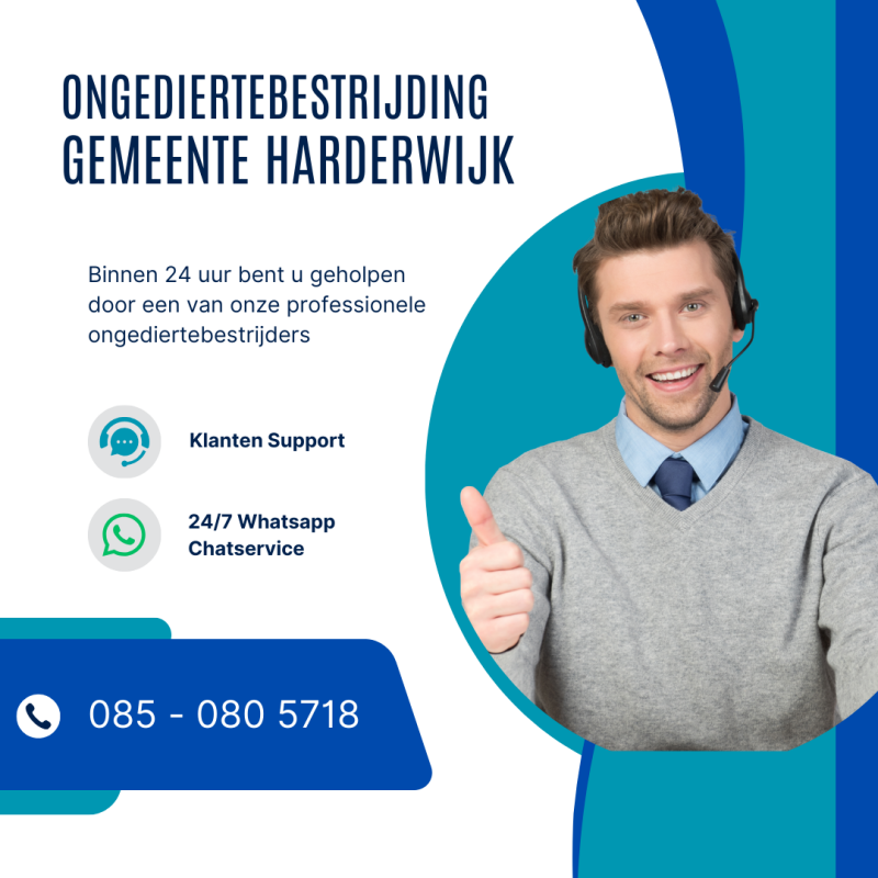Ongediertebestrijding gemeente Harderwijk