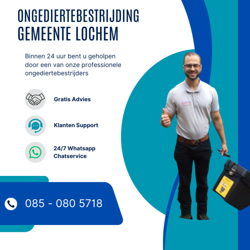 Ongediertebestrijding Lochem 