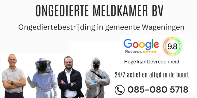 Ongediertebestrijding gemeente wageningen - Ongedierte Meldkamer