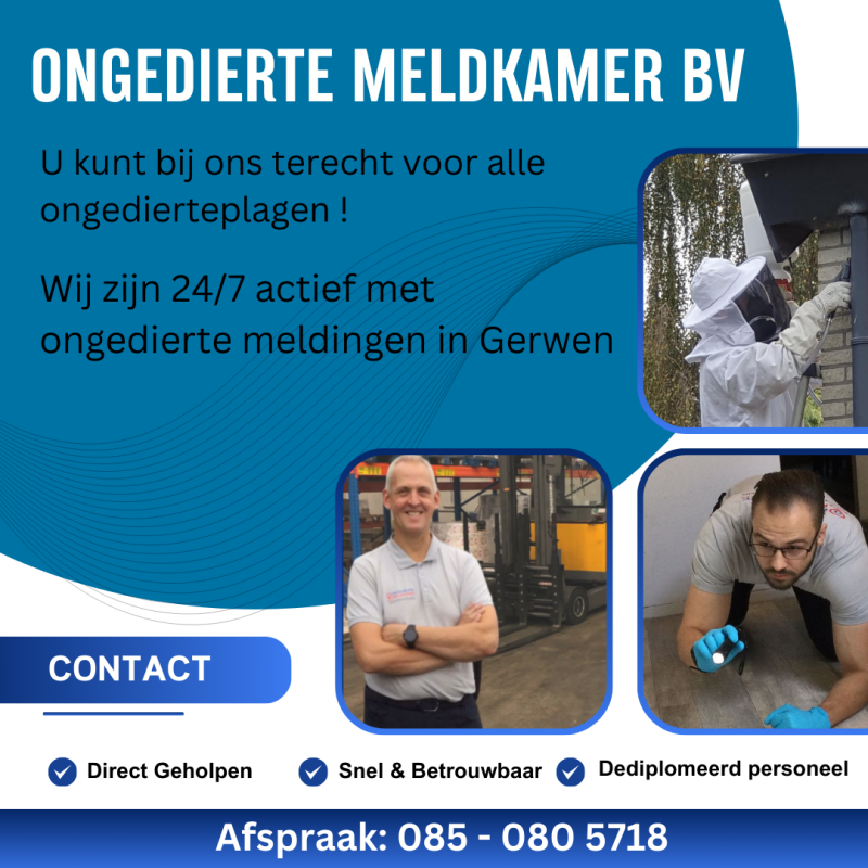 OMngediertebestrijding Wijnbergen - Ongedierte Meldkamer BV