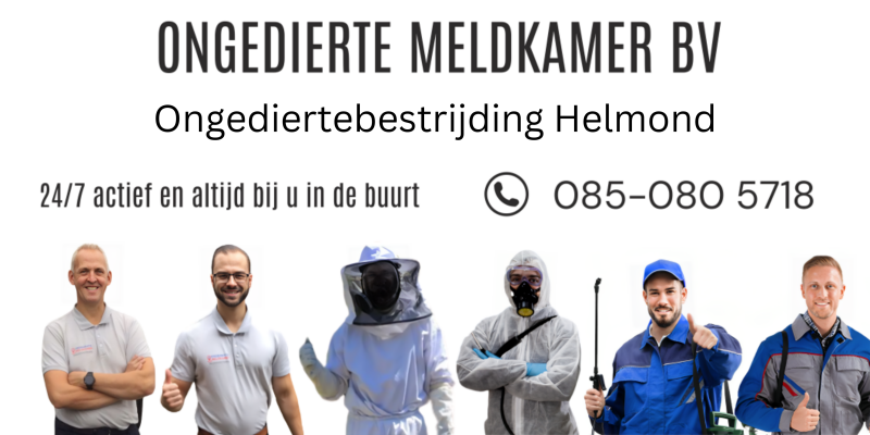Ongediertebestrijding Helmond-Ongedierte Meldkamer- BEL 085 080 5718