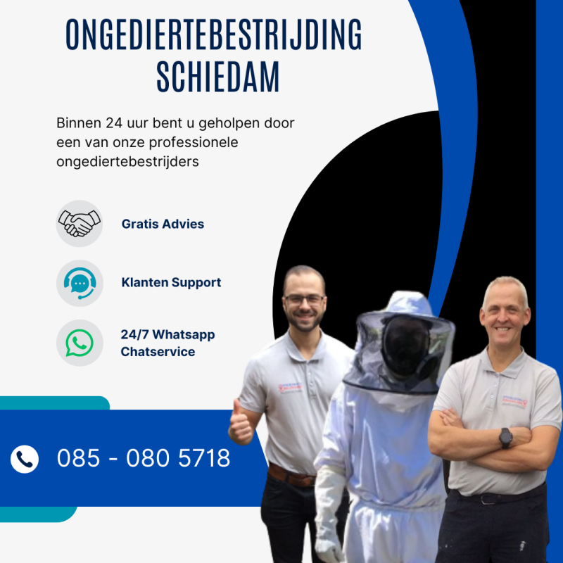 Ongediertebestrijding in Schiedam 