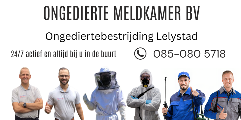 Ongediertebestrijding Lelystad - Ongedierte Meldkamer BV - BEL 085 080 5718