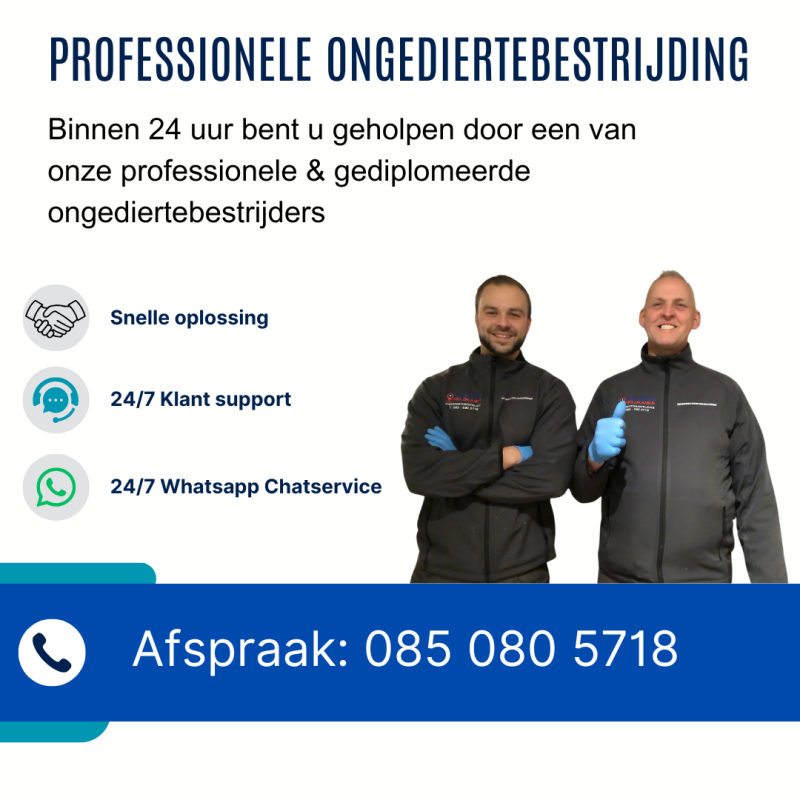 Ongediertebestrijding Wehl - Ongedierte Meldkamer BV