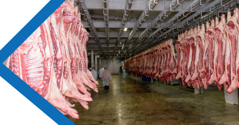 Ongediertebestrijding  voor slagerijen & slachterijen