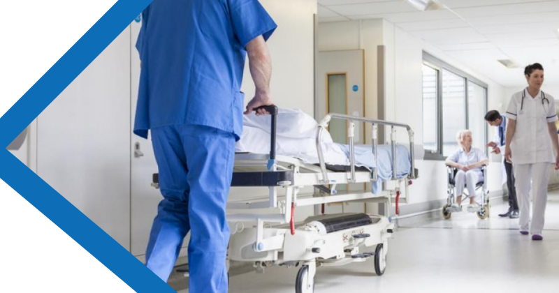 Ongediertebestrijding  voor ziekenhuizen