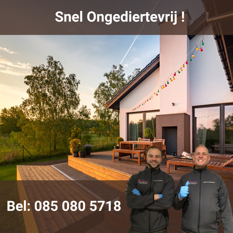 Ongediertebestrijding oudewater