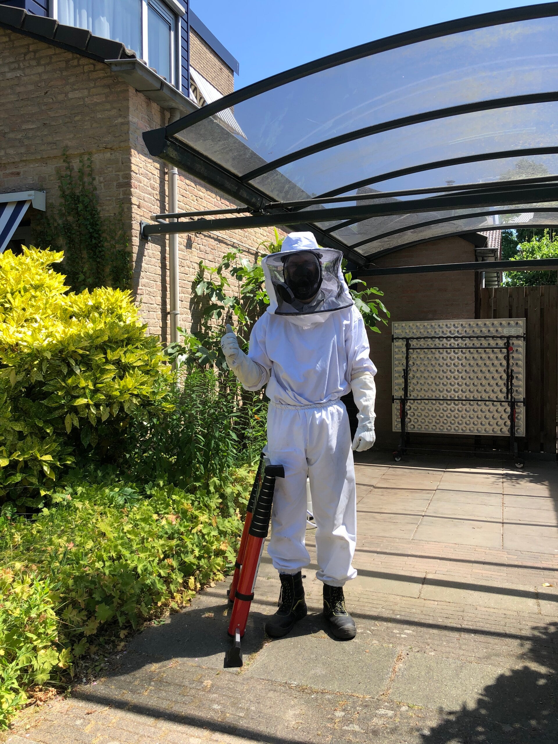 Wepsnnest in de grond bestrijden