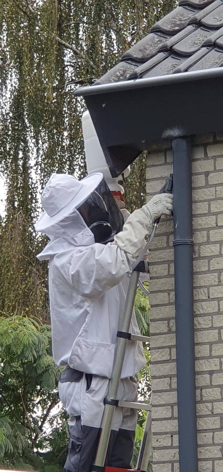 Wespenbestrijding Almere