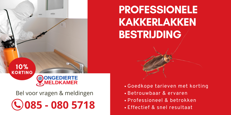 kakkerlakkenbestrijding met korting