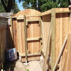 dscf1175-standard.jpg