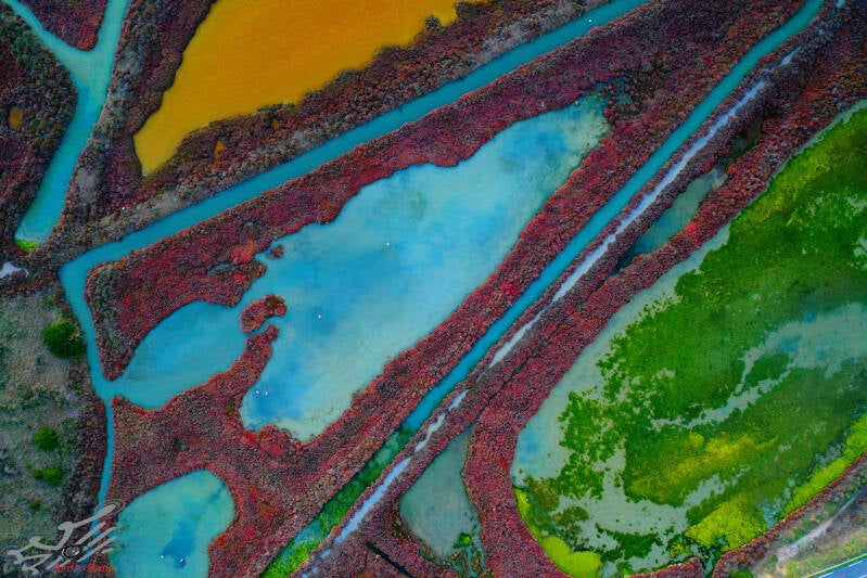 Mosaïque de couleur sur l'Etang d'Ingril