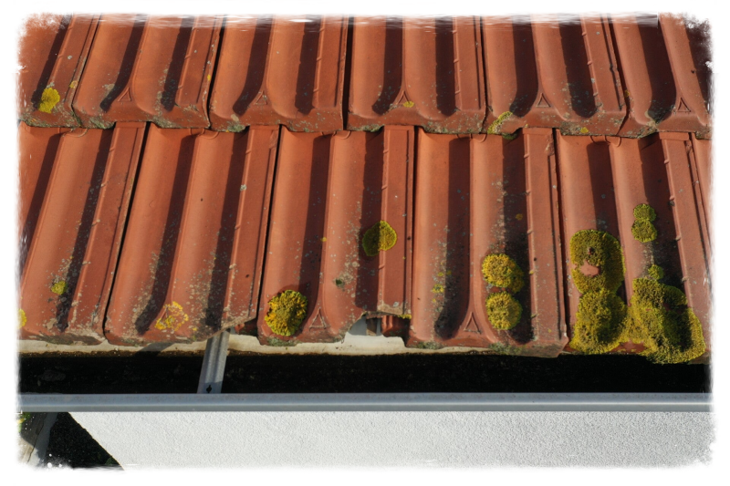 Inspection visuelle par drone d'ue toiture sur Mazamet dans le Tarn.