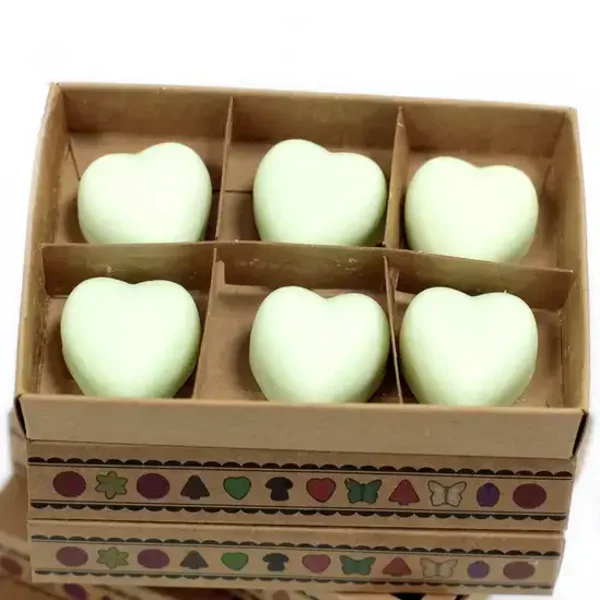 Box of 6 Wax Melts - Mint & Menthol