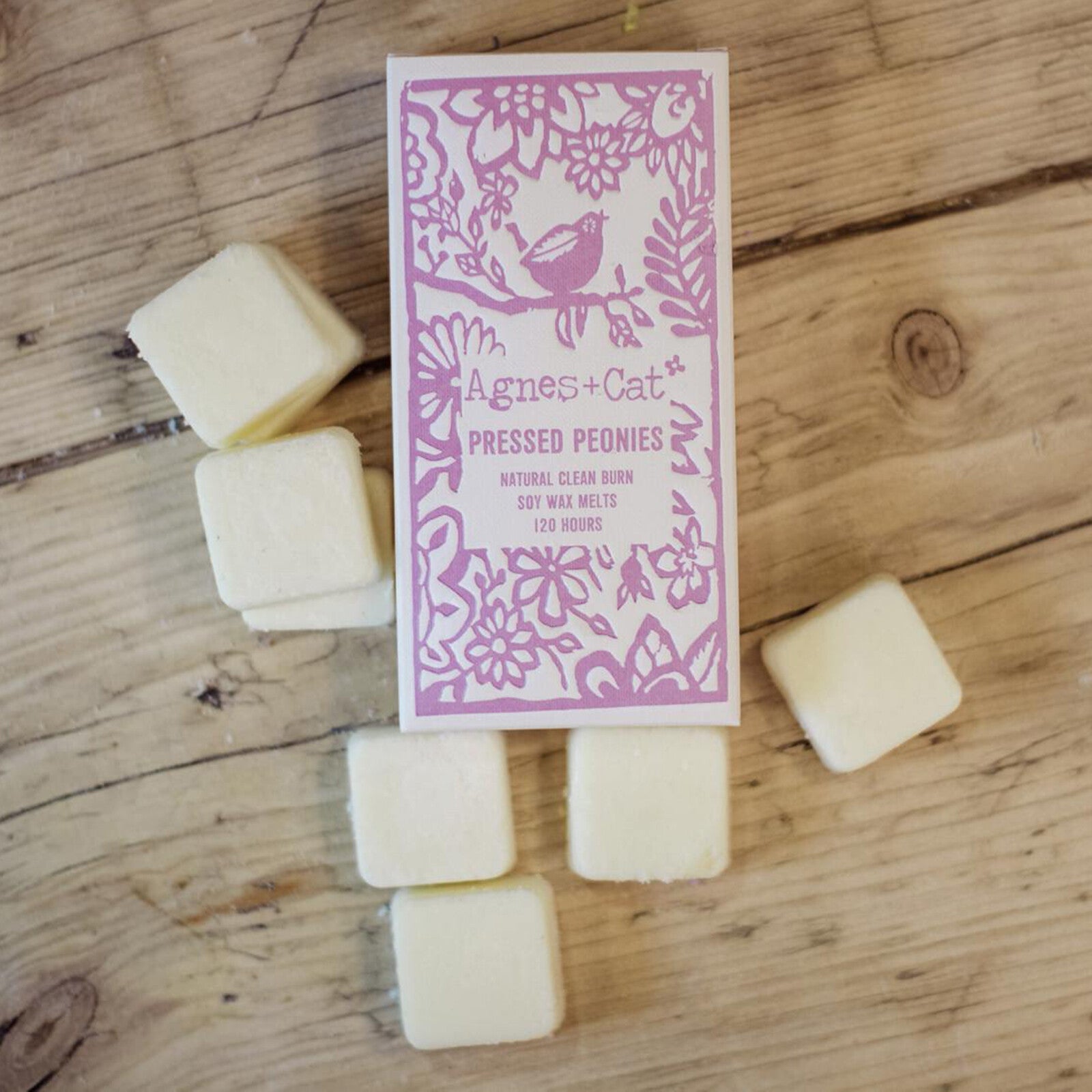 Agnes + Cat Wax Melts - Box of 8 - Pressed Peonies